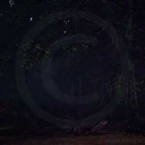 Night Forest 4K - Static Image