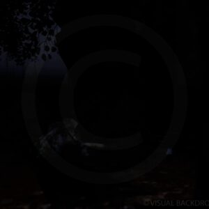 Spooky Dark Forest 4K - Video Loop